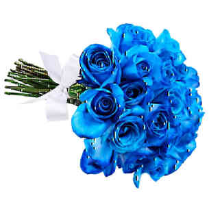 Buquê de 24 Rosas Azuis..