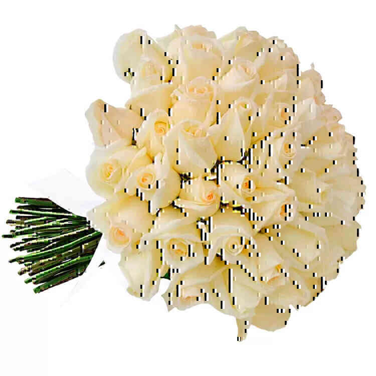 Buquê de 42 Rosas Brancas..