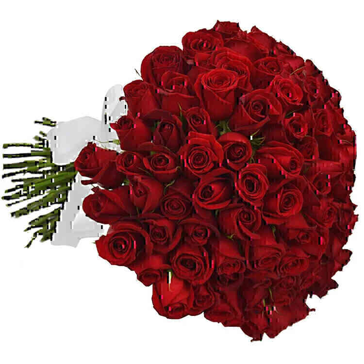 Buquê de 100 Rosas Vermel..