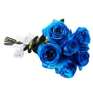 Buquê de 6 Rosas Azuis..