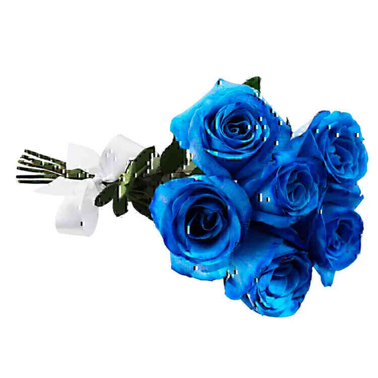 Buquê de 6 Rosas Azuis..