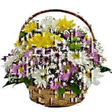 Cesta de Flores do Campo..