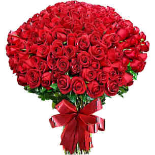 Mega Buquê de 200 Rosas C..