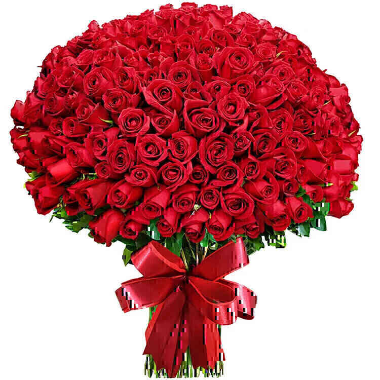 Mega Buquê de 300 Rosas C..