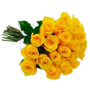 Buquê de 24 Rosas Amarela..