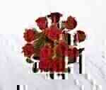 12 Roses Short Stemmed Co..