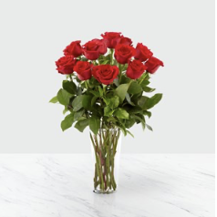 12 Roses Long Stemmed..