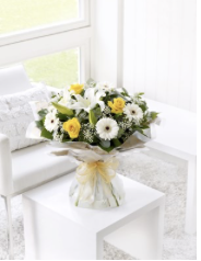 Yellow and white hand-tie..