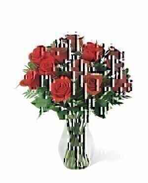 12 Roses Medium Stemmed..
