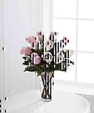 Pink Rose..