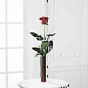 Single Flower..