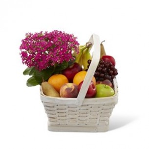 Garden Paradise Basket..