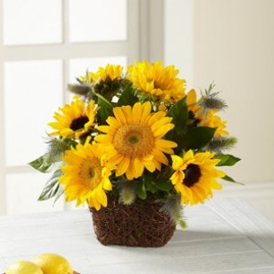 Perfect Sun Bouquet..