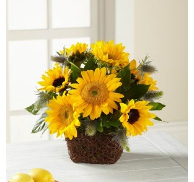 Perfect Sun Bouquet.. Perfect Sun Bouquet..