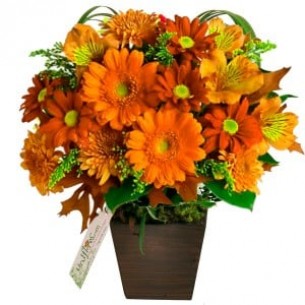 Arranjo de Flores Quatro ..