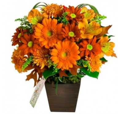 Arranjo de Flores Qu..