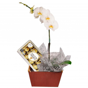 Orquídea e Bombons Ferrer..