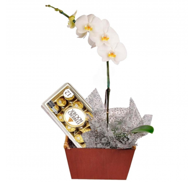Orquídea e Bombons F..