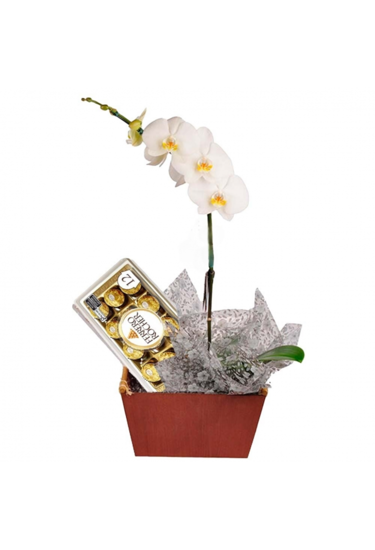 Orquídea e Bombons Ferrer..