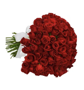 Buquê de 100 Rosas Vermel.. Buquê de 100 Rosas Vermel..