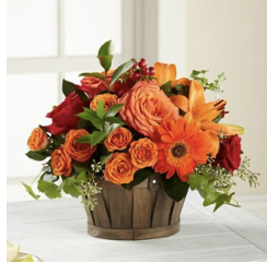 Natures Bounty Bouquet.. Natures Bounty Bouquet..