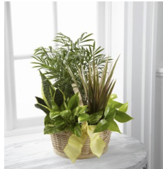 French Garden French Garden