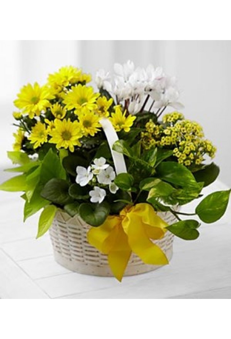 A Bit of Sunshine Basket ..