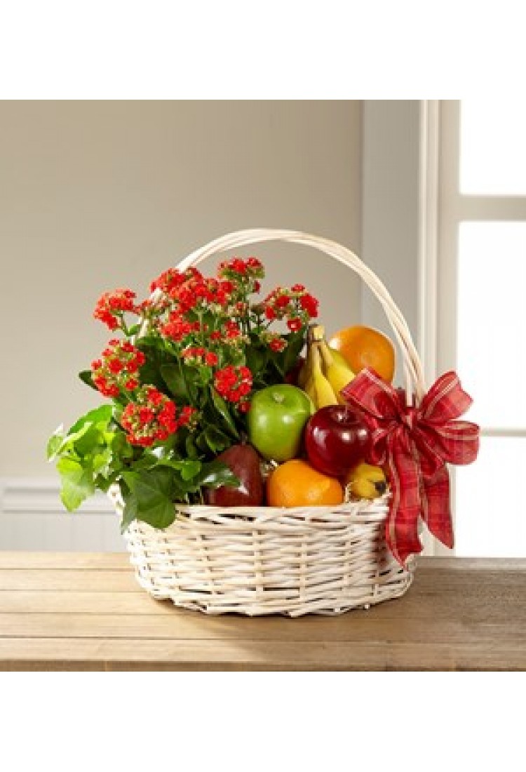 Gardens Paradise Basket..