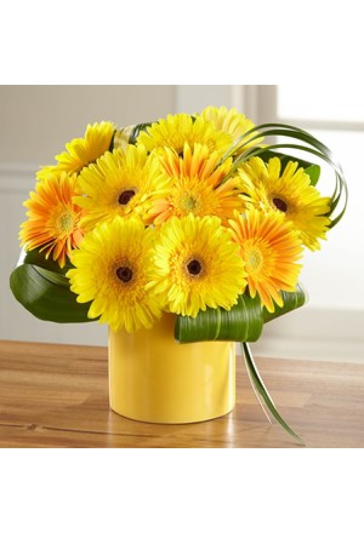 Sunny Surprise Arrangemen..