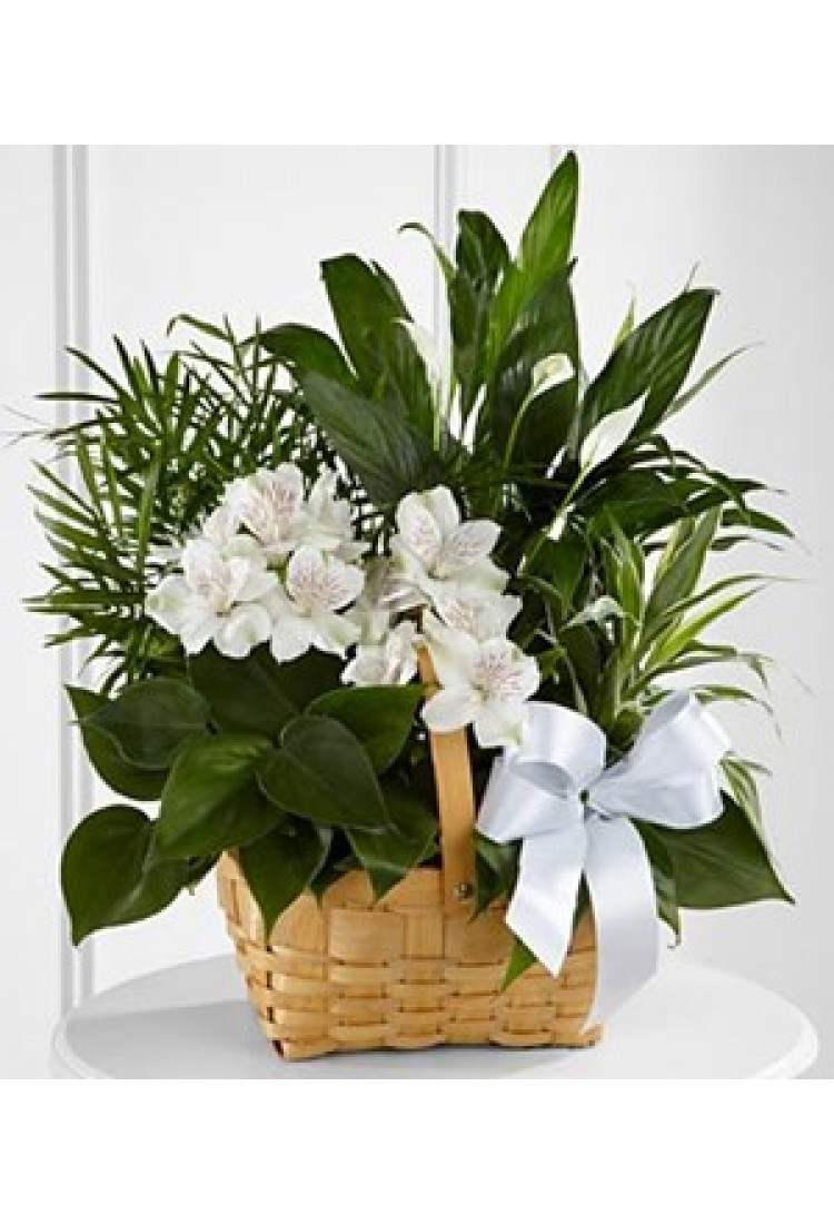 The FTD Peace And Serenit..