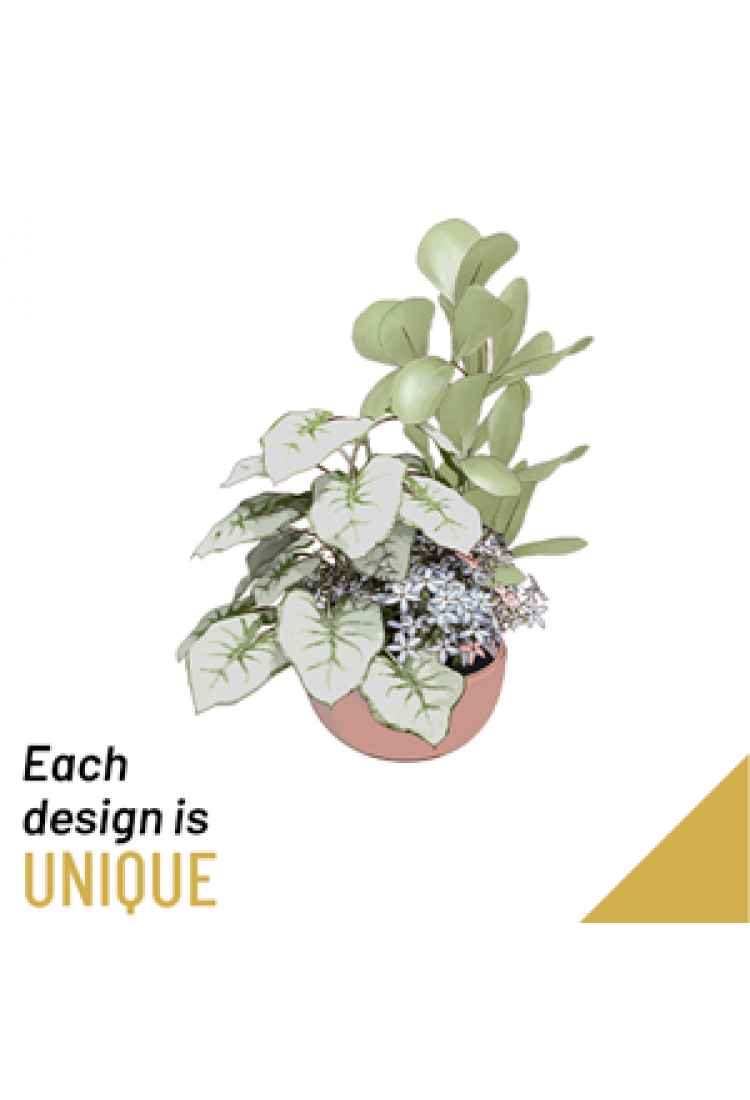 Planted Bowl-Arrangement..