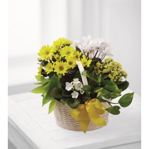 A Bit of Sunshine Basket ..