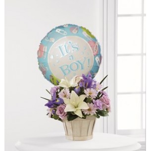 Boys Are Best - Basket In..