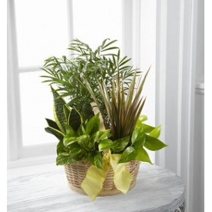 The FTD French Garden..