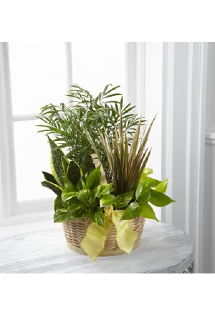 The FTD French Garden..