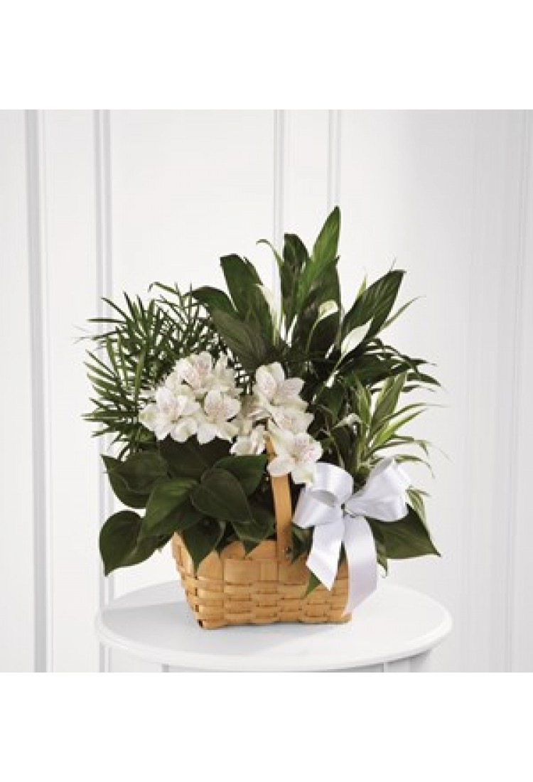 The FTD Peace And Serenit..