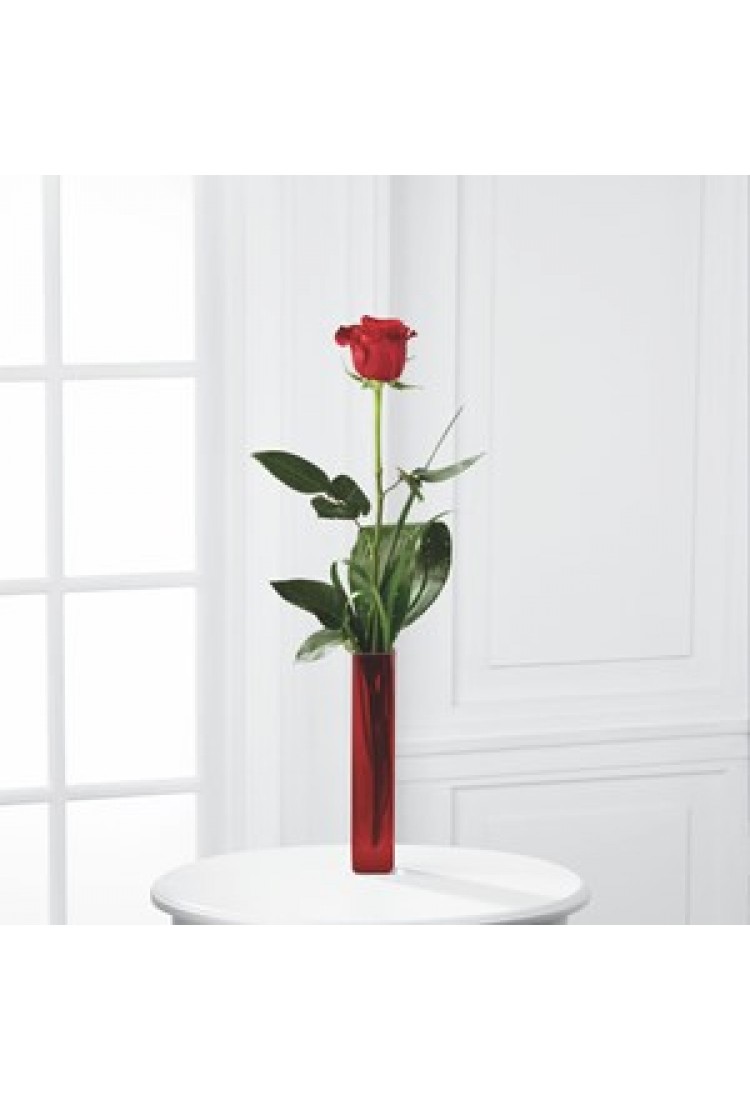 Single Flower.. Single Flower..