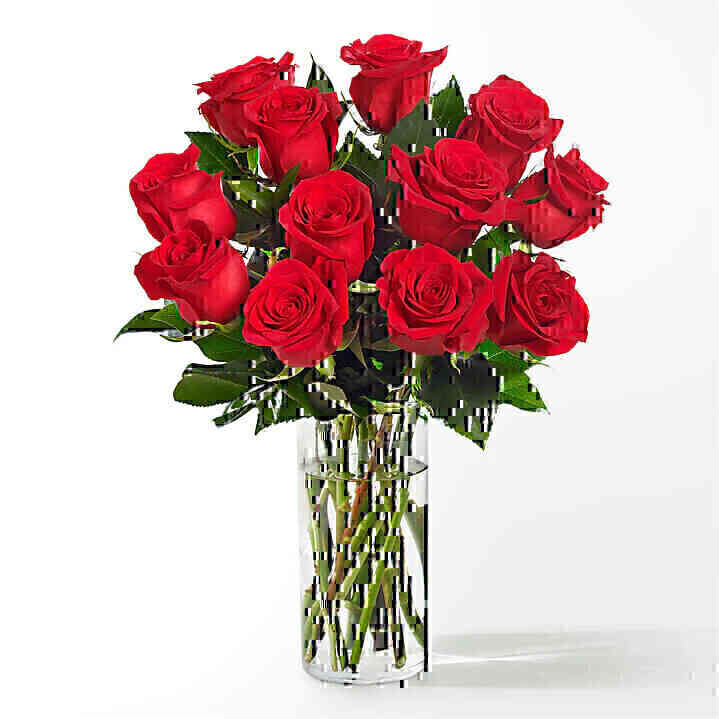 12 Roses medium stemmed I..