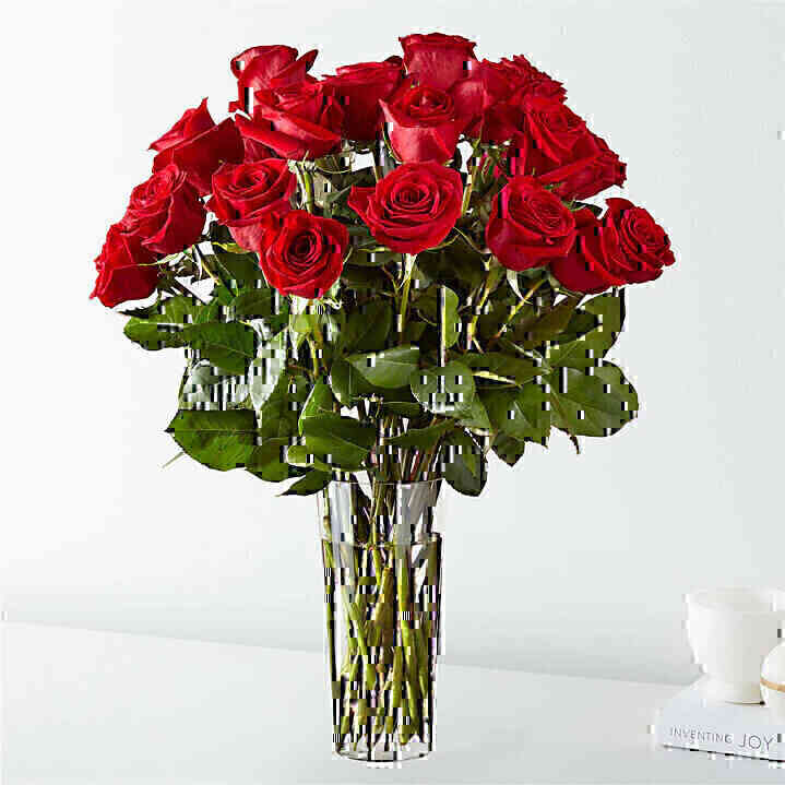 12 Roses long stemmed..