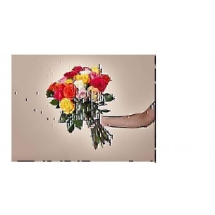 Duas dúzias de rosas vari.. Duas dúzias de rosas vari..