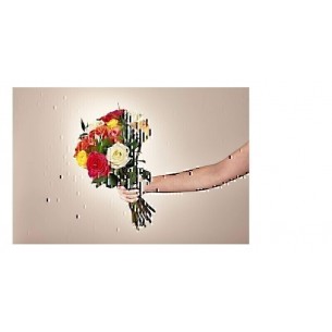 Rosas Mistas, Sem Vaso..