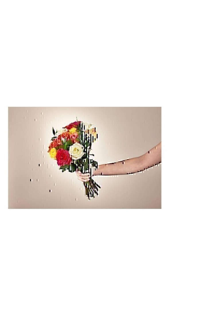 Rosas Mistas, Sem Vaso..