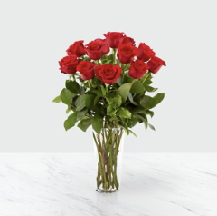 12 Roses long stemmed..