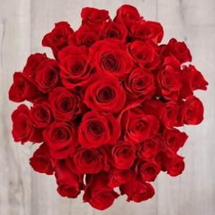 36 Red Roses Bunch..