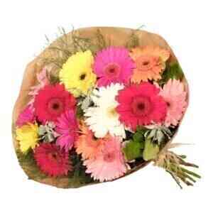 Gerbera Bunch Mixed..