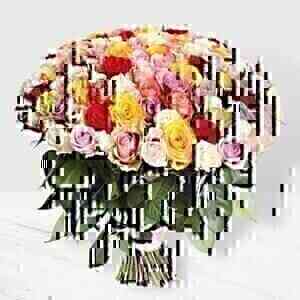 100 Mixed Roses Bunch..