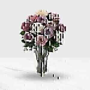 12 Pink and Purple Roses ..