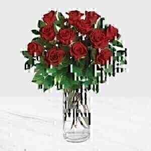12 Red Roses In Vase..
