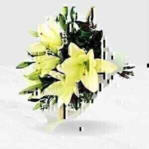 Lily Bunch..