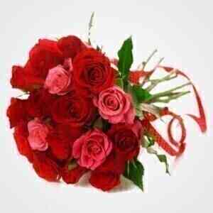 Red e Pink Roses..